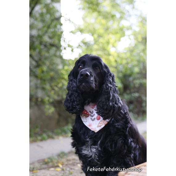 Cutest Mushrooms - Cuki Gombás Kutyakendő
