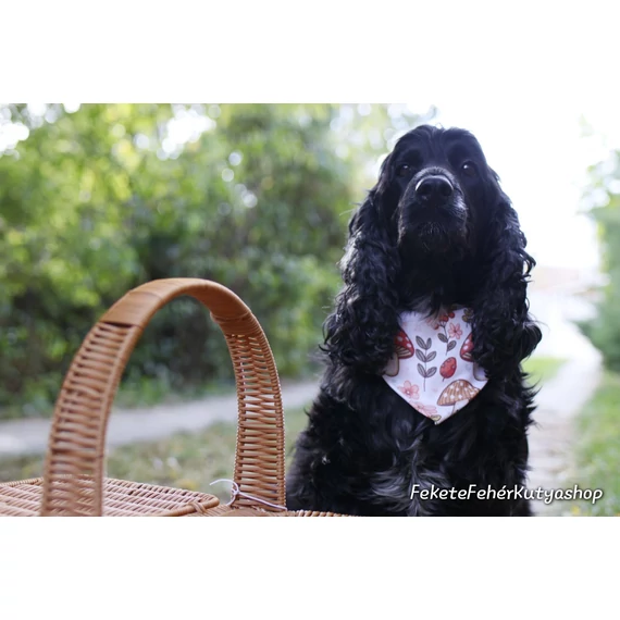 Cutest Mushrooms - Cuki Gombás Kutyakendő