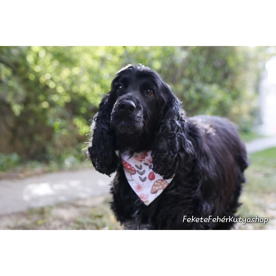 Cutest Mushrooms - Cuki Gombás Kutyakendő