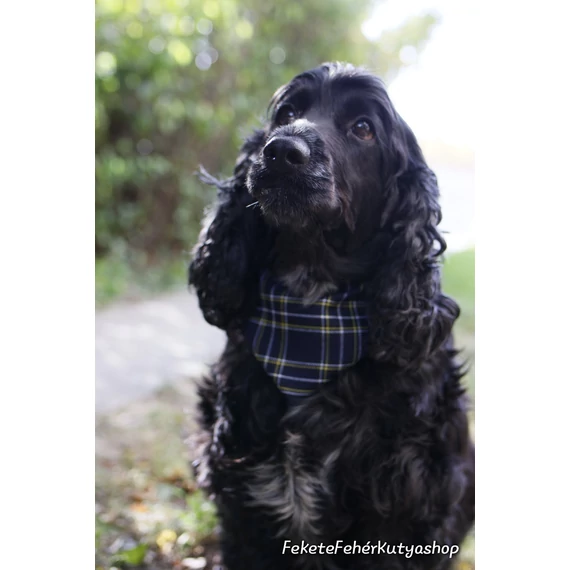 Darkest Blue Tartan - Sötétkék Skót Kockás Kutyakendő, Bandita Kendő Kutyusoknak