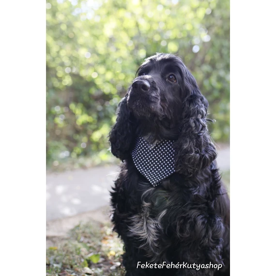 Black and White Polka Dots - Fekete-Fehér Pöttyös Kutyakendő, Bandita Kendő Kutyáknak