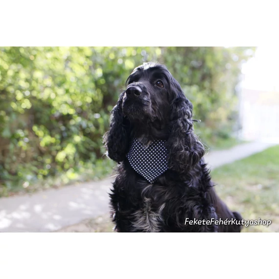 Black and White Polka Dots - Fekete-Fehér Pöttyös Kutyakendő, Bandita Kendő Kutyáknak