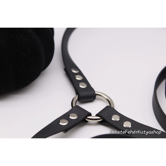 Vízálló, Biothane Páros Póráz Fogóval - Két Kutyushoz - Több Színben