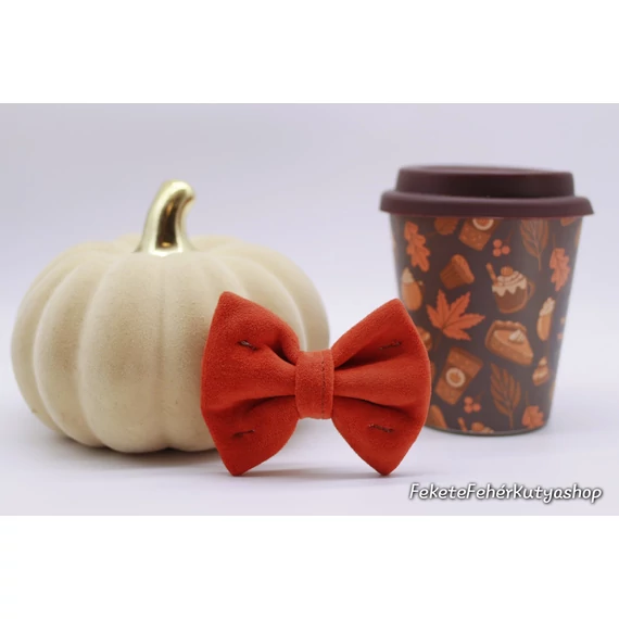 Autumn Collection 4 db-os Csokornyakkendő Csomag Kutyáknak