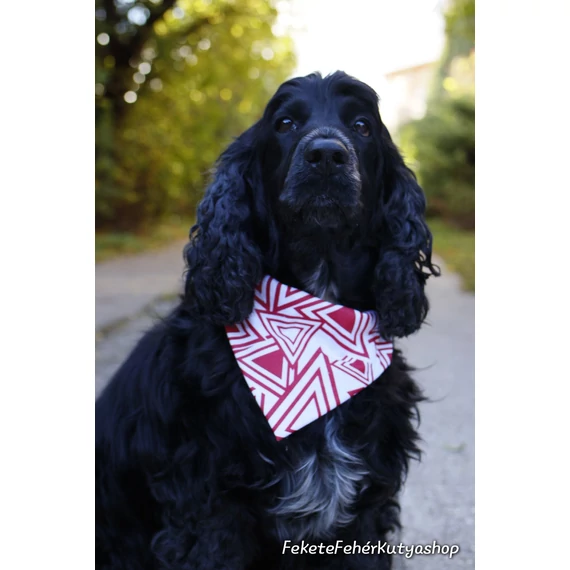 Abstract Triangles Kutyakendő, Bandita Kendő