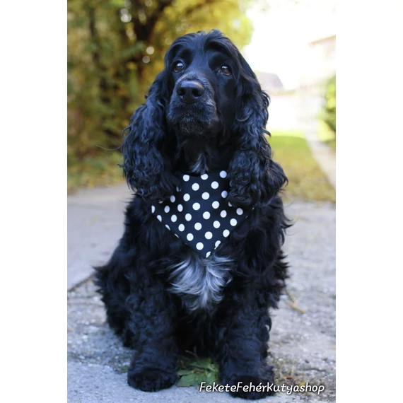 Midi Black and White Polka Dots - Közepes Fekete-Fehér Pöttyös Kutyakendő, Bandita Kendő Kutyáknak