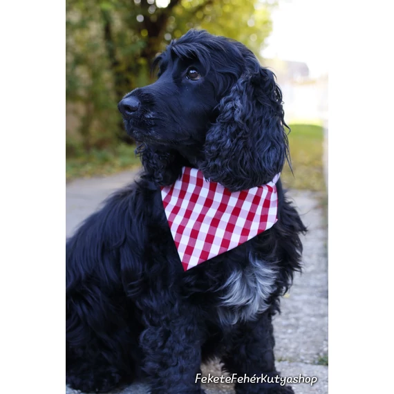 Style of Italy - Kockás Kutyakendő, Bandita Kendő