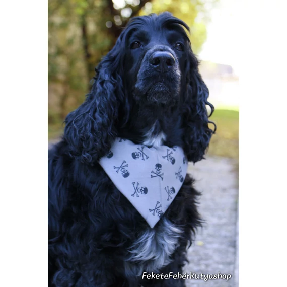 Olive Skulls and Bones - Koponyás-Csontos Kutyakendő, Bandita Kendő