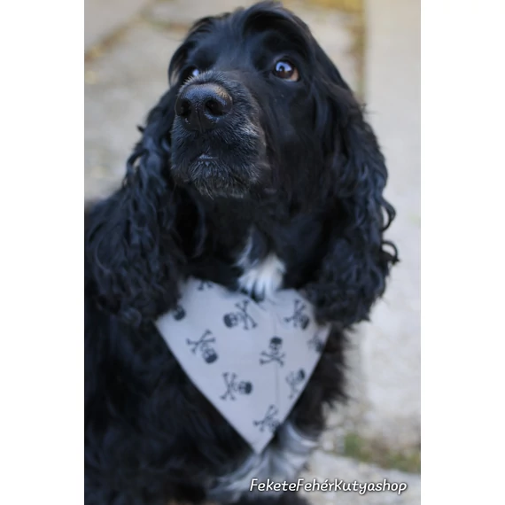 Olive Skulls and Bones - Koponyás-Csontos Kutyakendő, Bandita Kendő