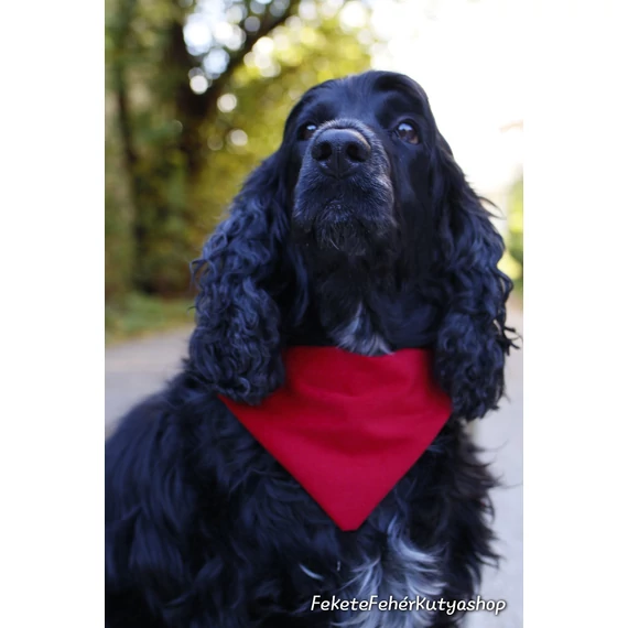 Classic Red Corduroy -Kordbársony Kutyakendő, Bandita Kendő