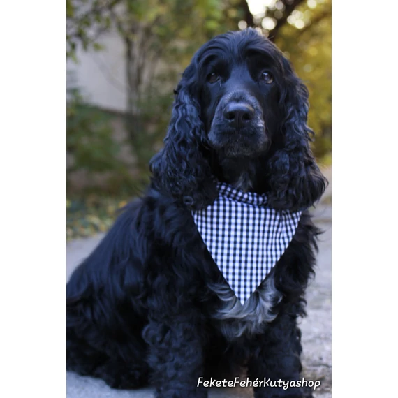 Light and Airy, Black and White Gingham Kockás Kutyakendő, Bandita Kendő
