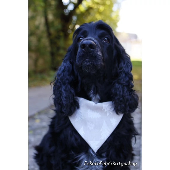 Snowy Christmas Trees Kutyakendő, Bandita Kendő