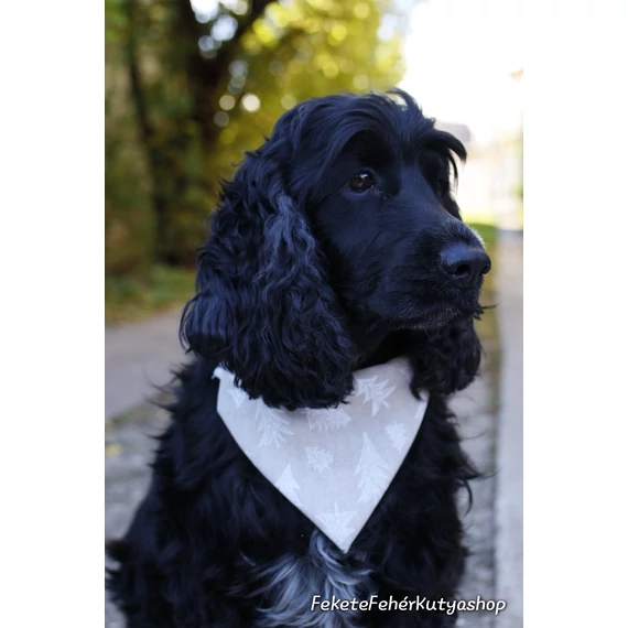 Snowy Christmas Trees Kutyakendő, Bandita Kendő