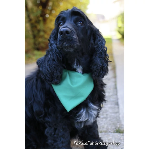 Green-Green Dress - Zöld Matt Selyem Kutyakendő, Bandita Kendő