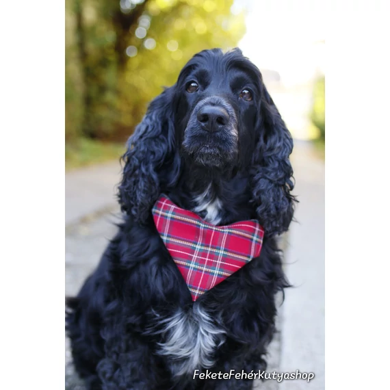 The Classic Red Tartan - Klasszikus Skót Kockás Piros Kutyakendő, Bandita Kendő Kutyusoknak