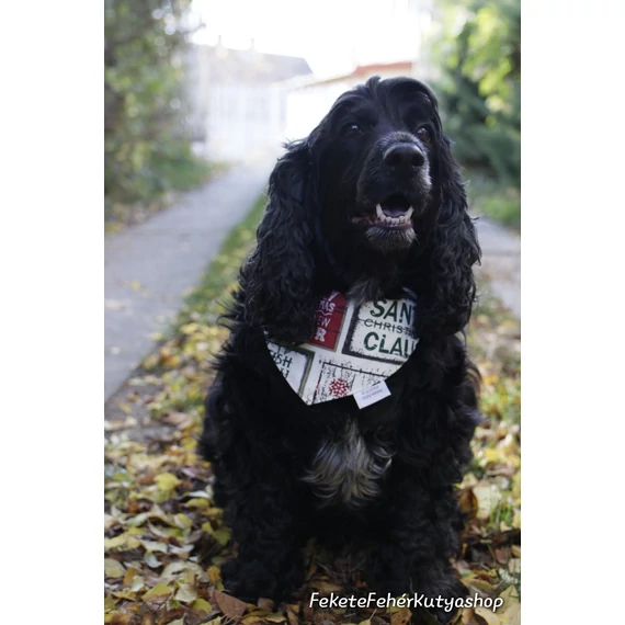 Merry Christmas Kutyakendő, Bandita Kendő