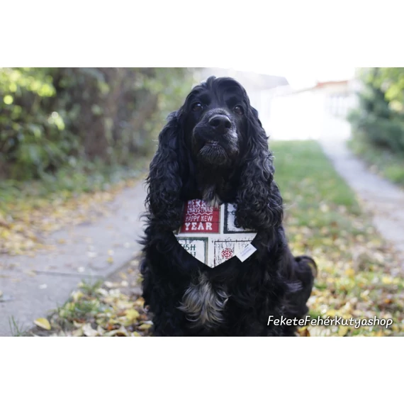 Merry Christmas Kutyakendő, Bandita Kendő