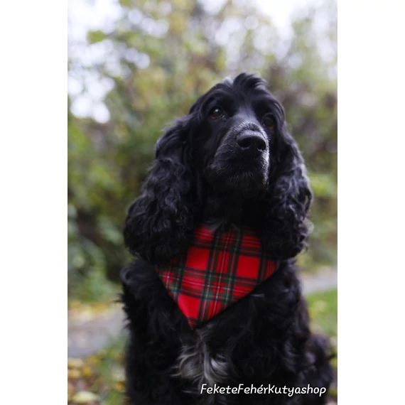 Red and Green Classic Tartan - Piros-Zöld Klasszikus Skót Kockás Szatén Selyem Kutyakendő, Bandita Kendő Kutyusoknak