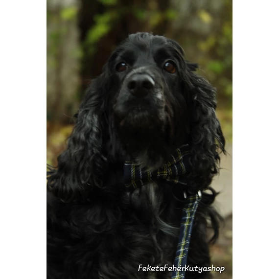 Darkest Blue Tartan - Sötétkék Skót Kockás Csokornyakkendő Kutyáknak