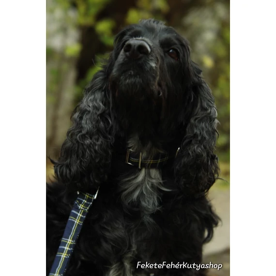 Darkest Blue Tartan - Sötétkék Skót Kockás Nyakörv