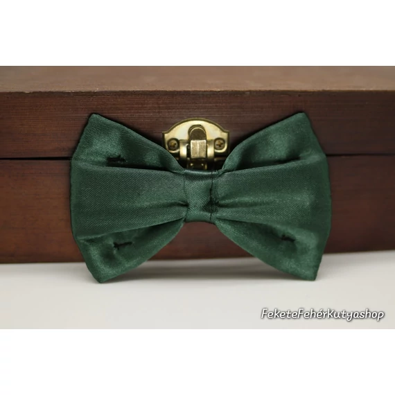 It's So Green 2 db-os Csokornyakkendő Csomag Kutyáknak