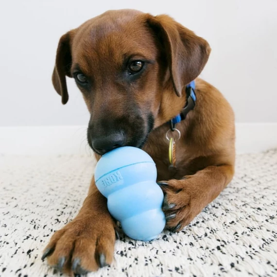 Kong Puppy -Jutalomfalattal Tölthető Harang Kutyajáték Kölyök Kutyáknak - M-es