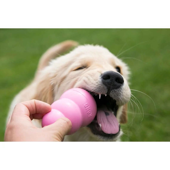 Kong Puppy -Jutalomfalattal Tölthető Harang Kutyajáték Kölyök Kutyáknak - M-es