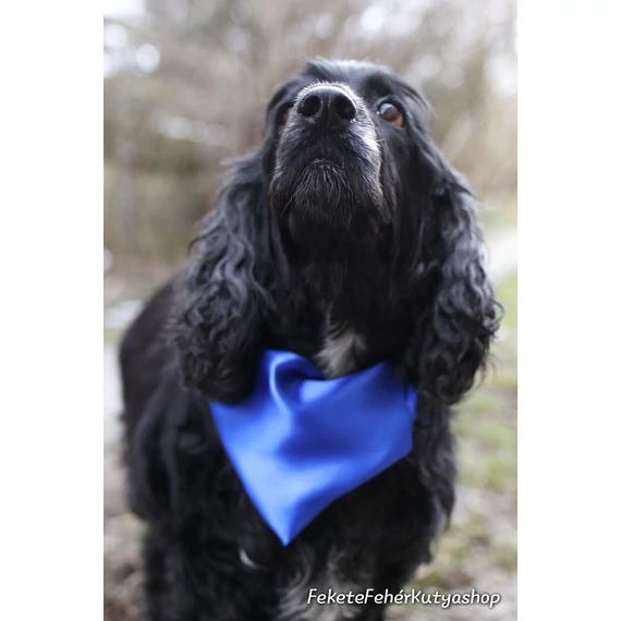 Lucious Silk Selyem Kutyakendő