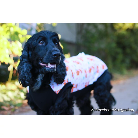 Rókás Műtét Utáni Kutyaruha Kan, Fiú Kutyusoknak és Macskáknak - 7-es Méret Kész termék