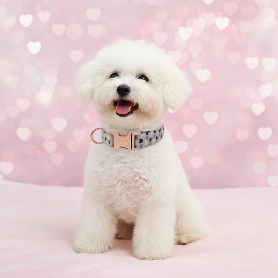 Latte Hearts - Kék-fehér tejeskávészín szívecskés kutyanyakörv