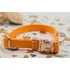 Kép 2/8 - Vízálló, Biothane nyakörv -Vivid Apricot Delight - Sárgabarack Szín