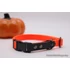Kép 3/15 - Spooky Jack O'Lantern - fekete kiemelő színnel