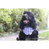 Kép 5/10 - Dorothy's Gingham Kockás Kutyakendő, Bandita Kendő Kutyáknak