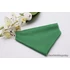 Kép 1/4 - Green-Green Dress - Zöld Matt Selyem Kutyakendő, Bandita Kendő