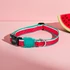 Kép 1/6 - ZEE.DOG Collar - Lola - Dinnyés Nyakörv