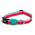 Kép 2/6 - ZEE.DOG Collar - Lola - Dinnyés Nyakörv